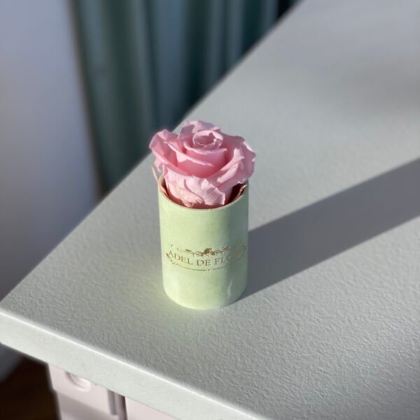 Różowa wieczna róża w miętowym welurowym pudełku