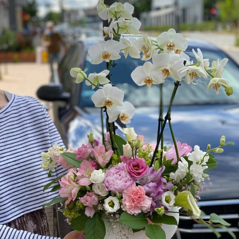 Kompozycje ze storczykiem i ciętymi kwiatami w ceramicznej donicy