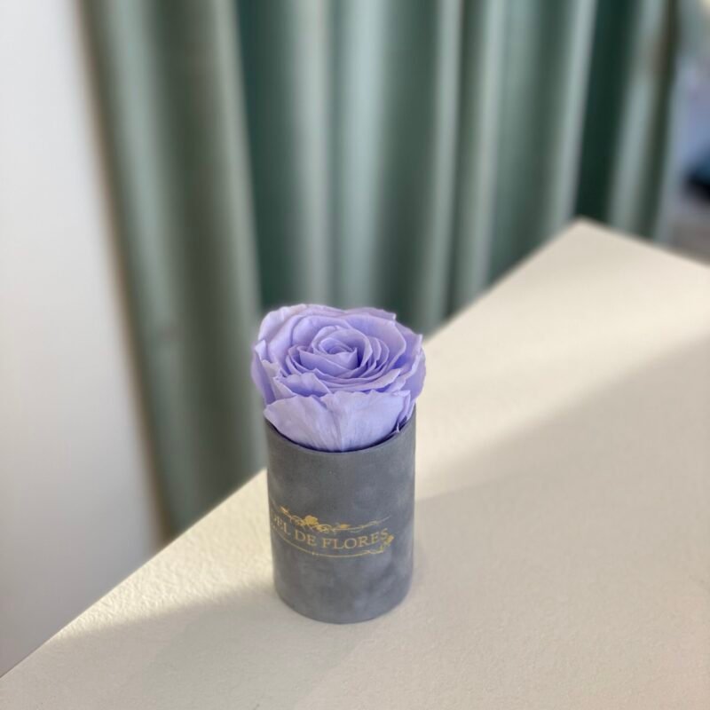 Pojedyncza lawendowa wieczna róża w szarym pudełku