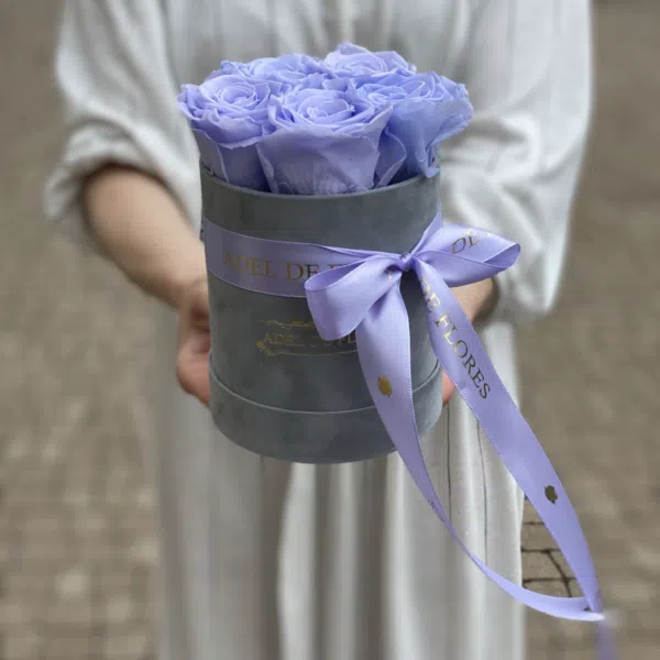 Szare welurowe pudełko z wiecznymi różami w lawendowym kolorze
