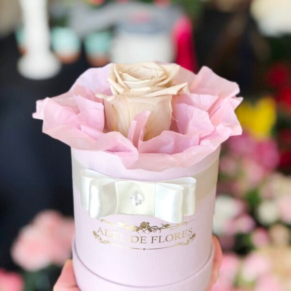 Mały okrągły box z wieczną różą