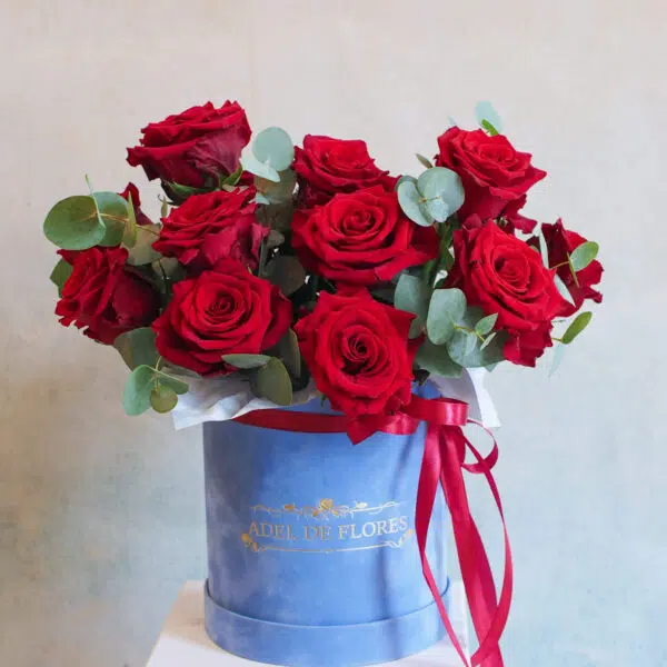 Box Czerwone róże z eukaliptusem