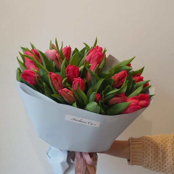 Tulipany 25szt