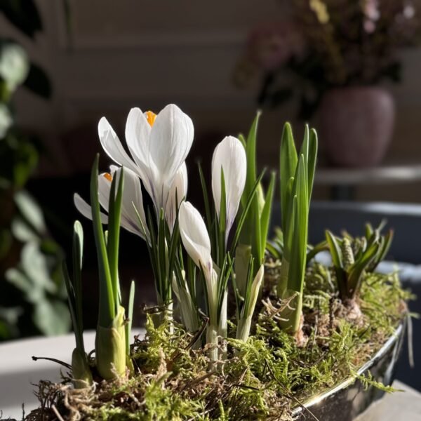 Wiosenna kompozycja 7