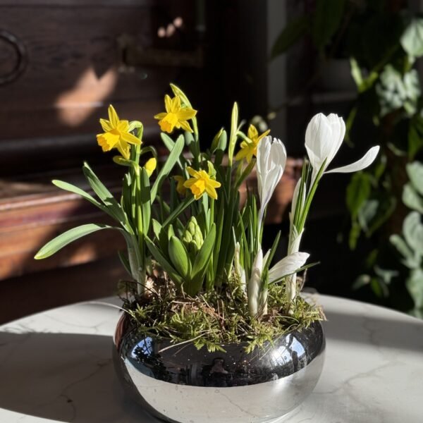 Wiosenna kompozycja 8