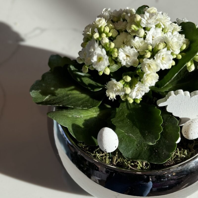 Wiosenna kompozycja 10