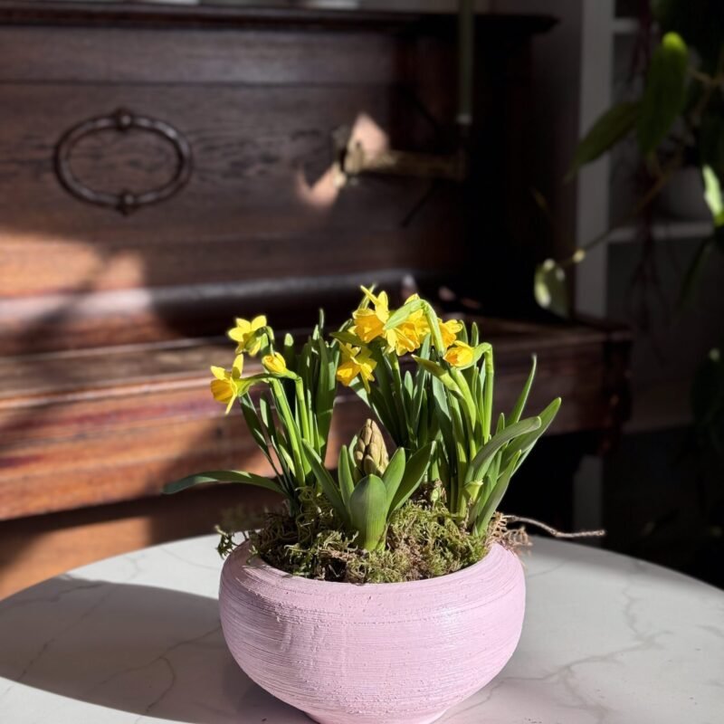 Wiosenna kompozycja 11