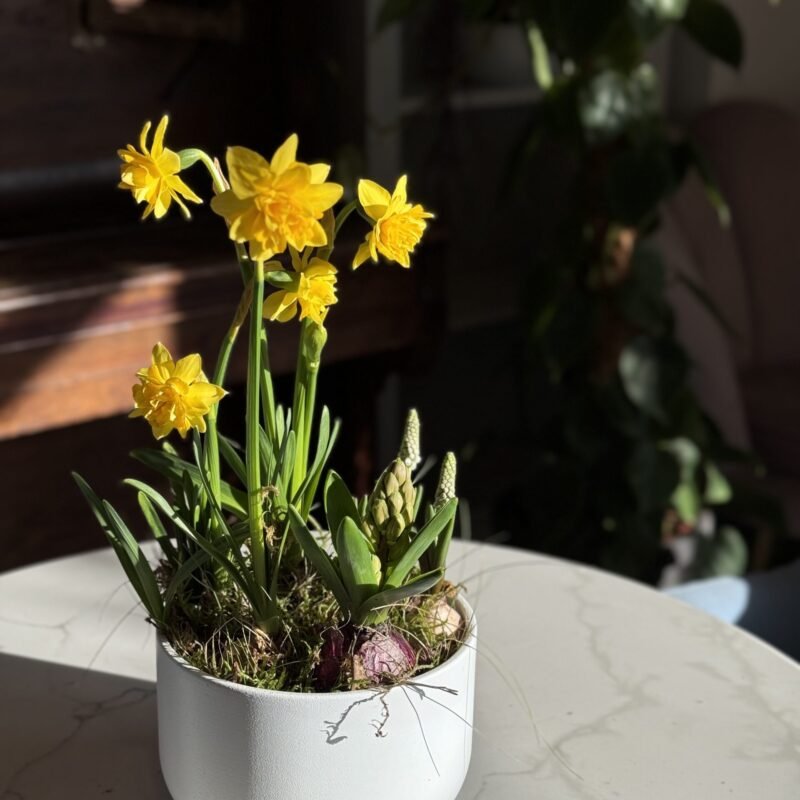 Wiosenna kompozycja 12