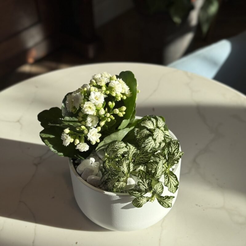 Wiosenna kompozycja 13