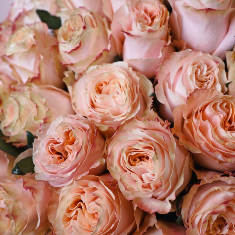 Bukiet z brzoskwiniowych piwoniowych róż