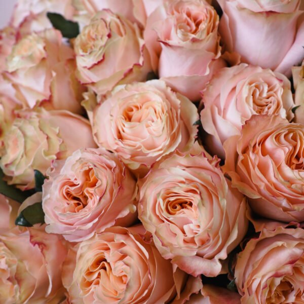 Bukiet z brzoskwiniowych piwoniowych róż