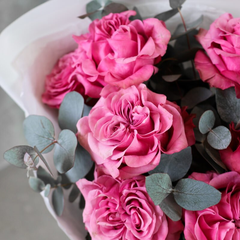 Bukiet piwoniowych róż Country Blues Adel del Flores