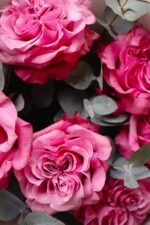 Bukiet różowych róż piwoniowych Country Blues — Pink Velvet Roses | Adel de Flores