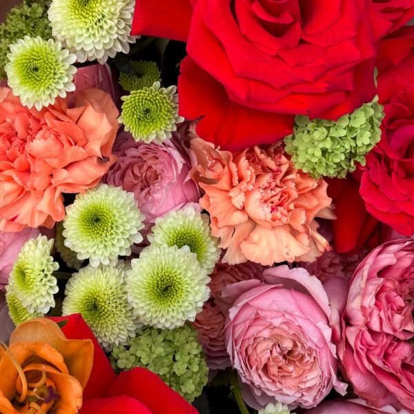 adel26-rose-manifesto-2